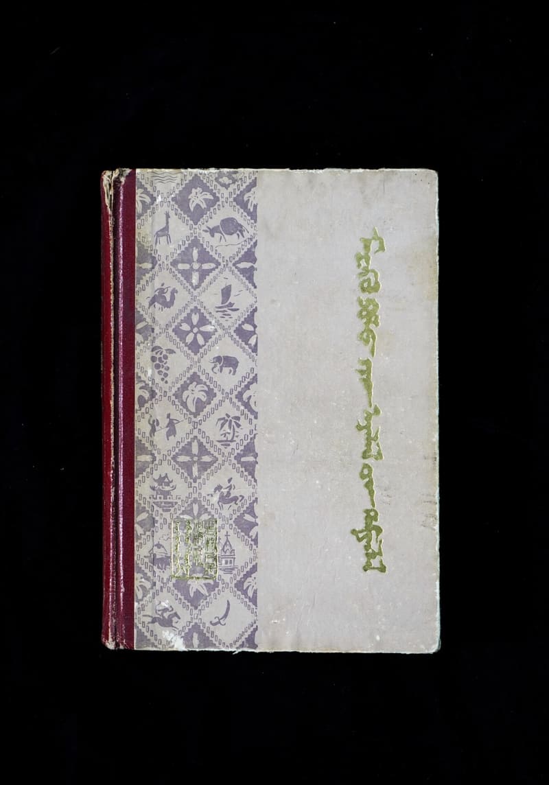 The Travels of Marco Polo (Mongolian)